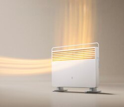 Xiaomi-цахилгаан халаагуур