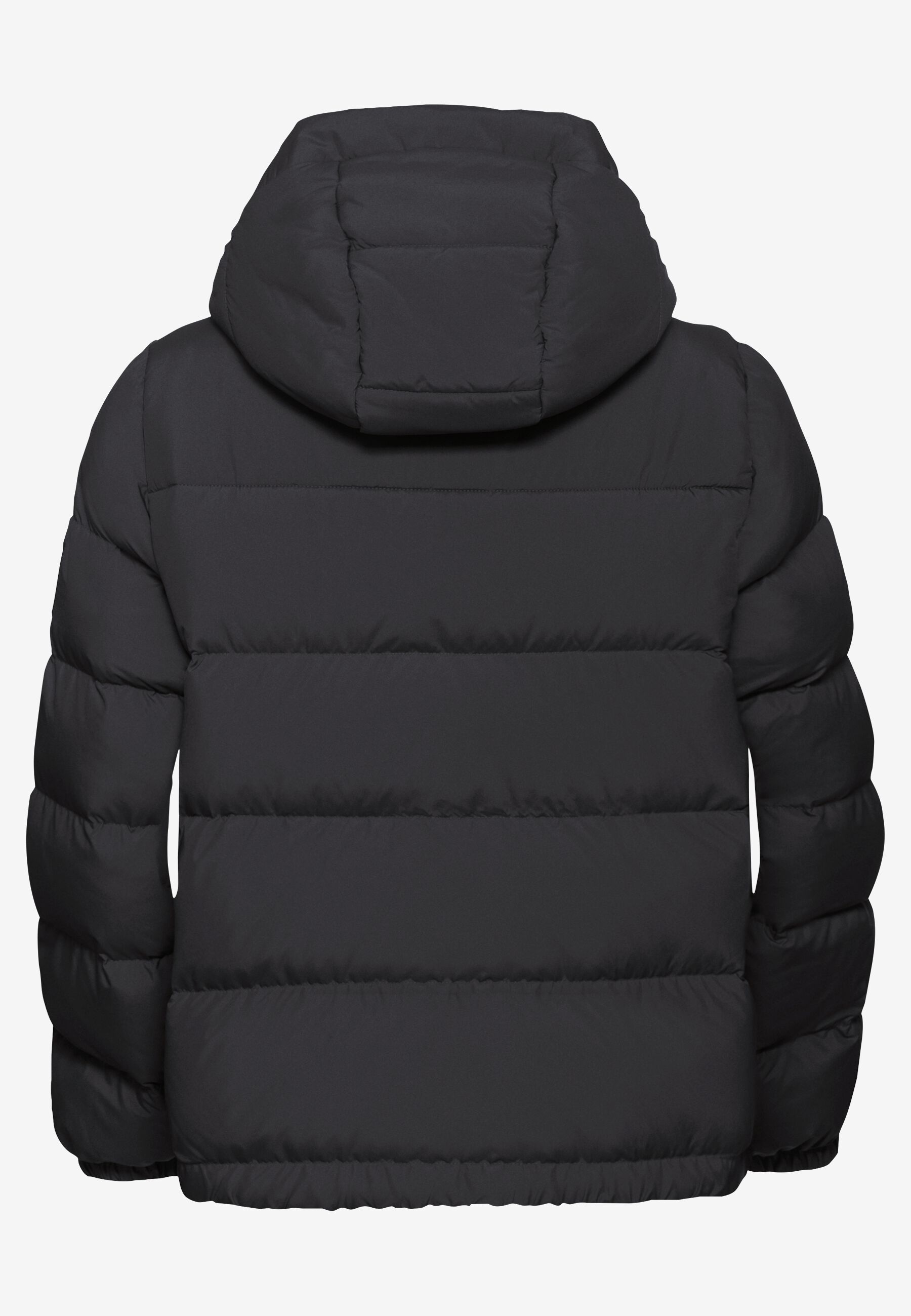 FROZEN PALACE JKT W RDS