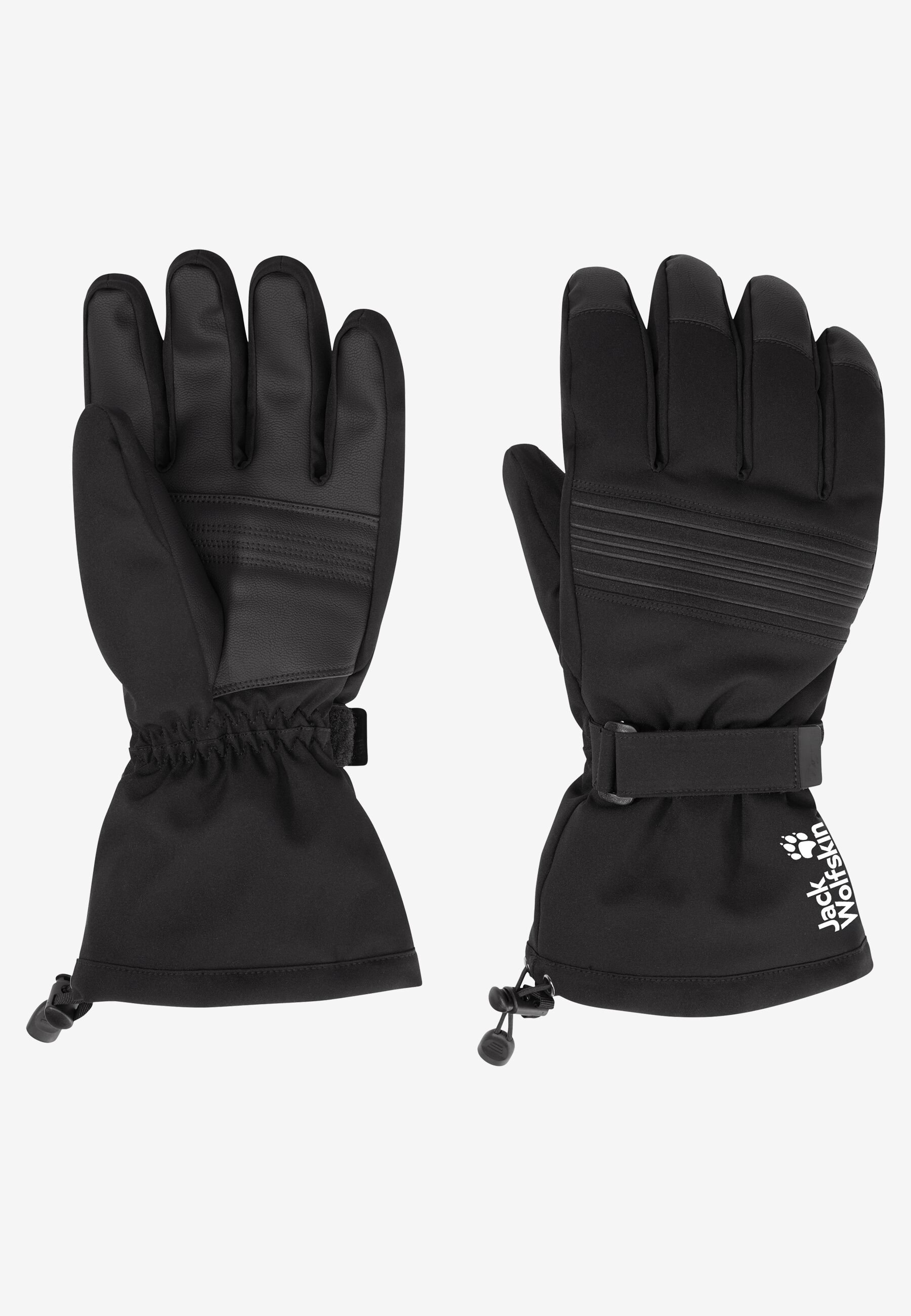 INS SKI GLOVE