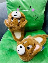 Бүгд ганц ганц байгаа 