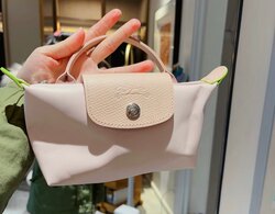 Longchamp mini