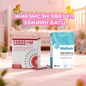 ЖИРЭМСЭН, ХӨХҮҮЛ ЭЭЖИЙН БАГЦ