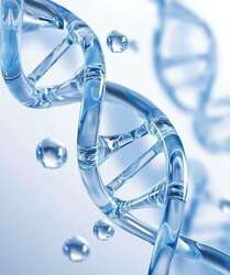 Гүн чийгшүүлэх маск-1ш