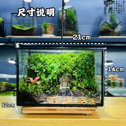 Амьд био хорго