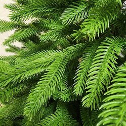 100хувьpe 2,4м мод