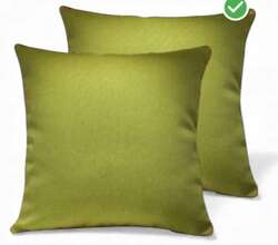 Эмжээртэй бор ногоон дэр