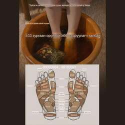 Хөл амраагч дүрлэг