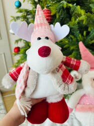 Гацуурны буга