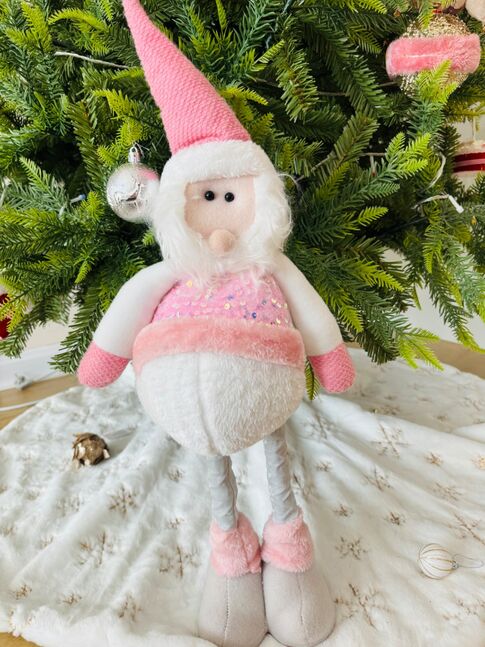 Гацуурны тоглоом санта