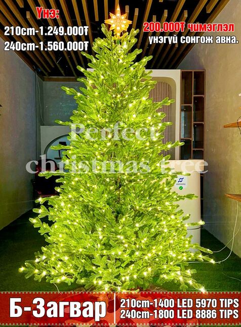 Perfect гацуур 210cm гэрэлтэй