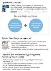 Ашигтай бактер