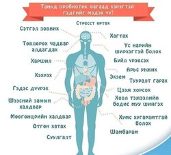 Ашигтай бактер