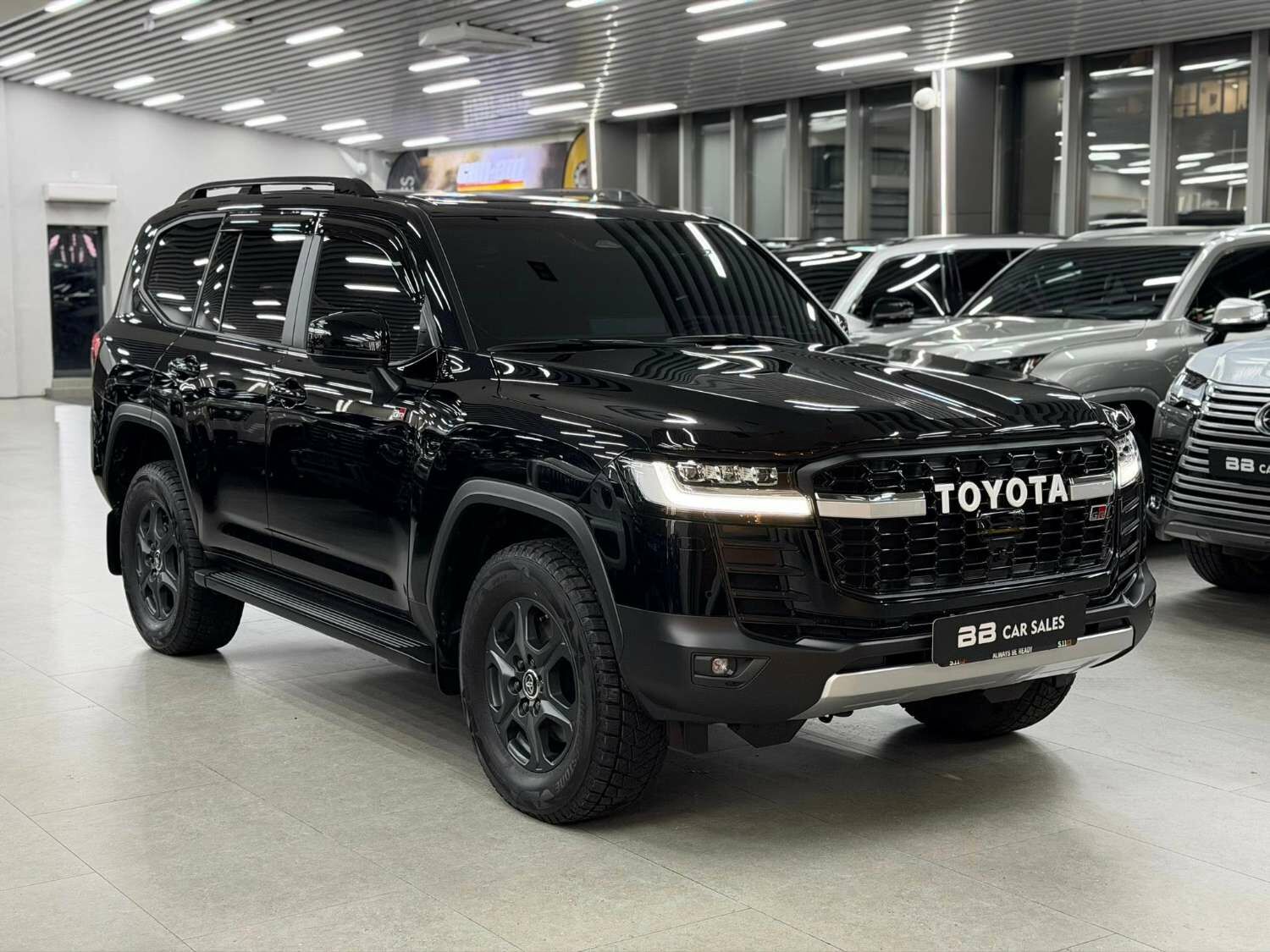 Toyota land cruiser 300, 25/25