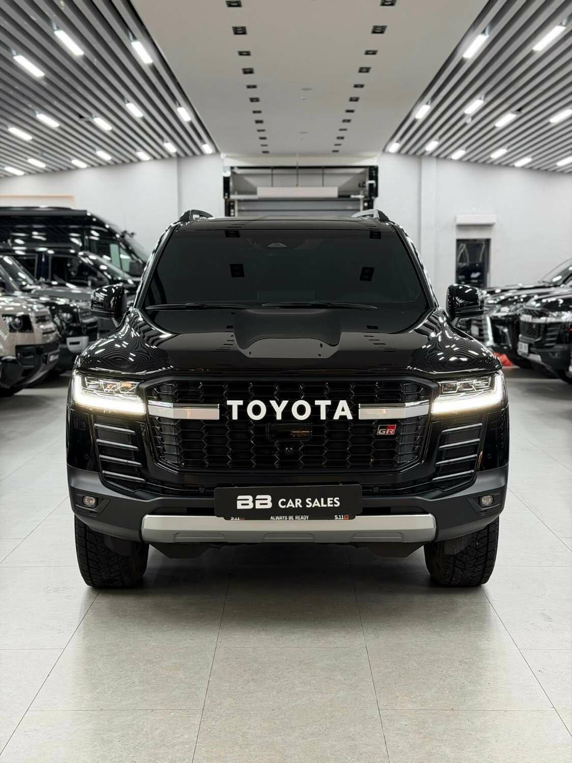 Toyota land cruiser 300, 25/25