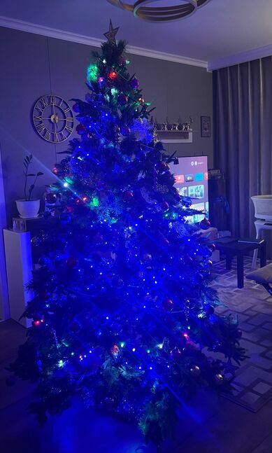 Канад эко гацуур 210 см