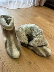 Хэрэглээ бага шинэвтэр 36размер