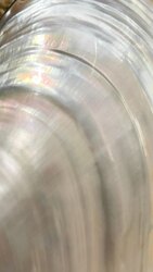 Япон хэлний төрөл бүрийн орчуулг