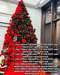 T56-180 🎁 оройтой холимог чимэг