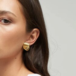 Титан ган ээмэг