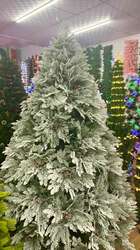 Цасан ширхэг мэт мөчиртэй гацуур