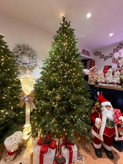 2400ш гэрэлтэй гацуур мод /240см