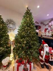 2400ш гэрэлтэй гацуур мод /240см