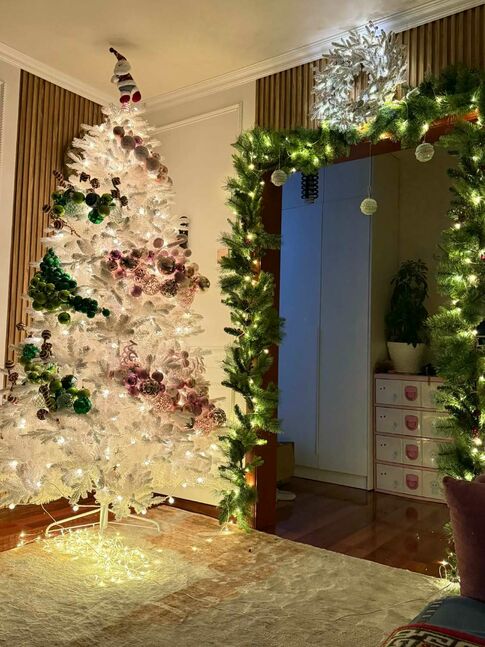 Цагаан канад загварын гацуур 210