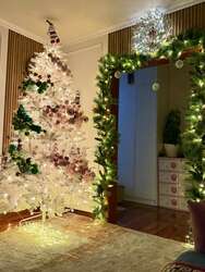 Цагаан канад загварын гацуур 210