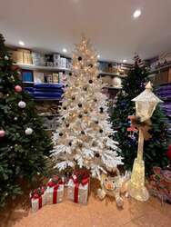 Цагаан канад загварын гацуур 210