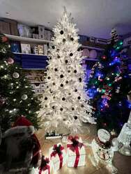 Цагаан канад загварын гацуур 210