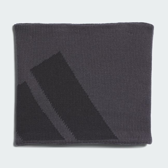 BIG LOGO REV NW CARBON