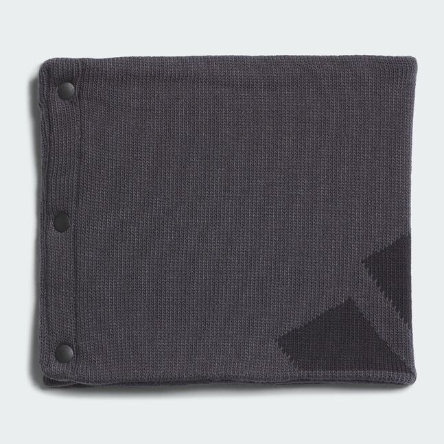 BIG LOGO REV NW CARBON