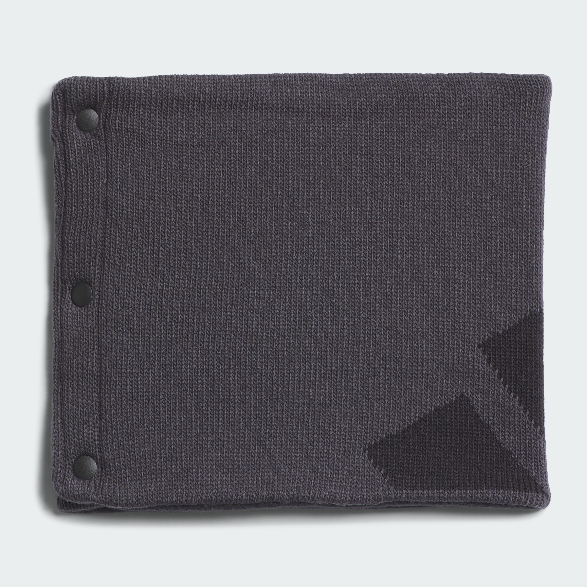 BIG LOGO REV NW CARBON