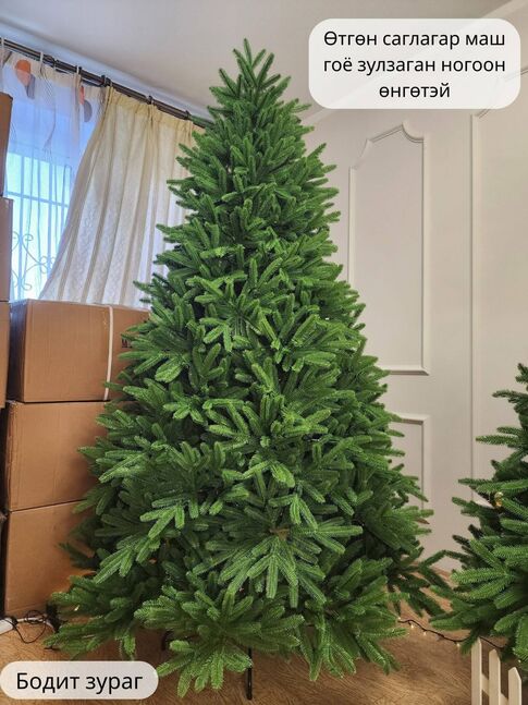 100pe 180 гацуур