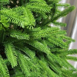 100pe 180 гацуур