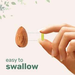 Quercetin vitamin c and zinc