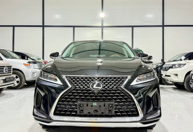 Lexus RX 350 2020/2024