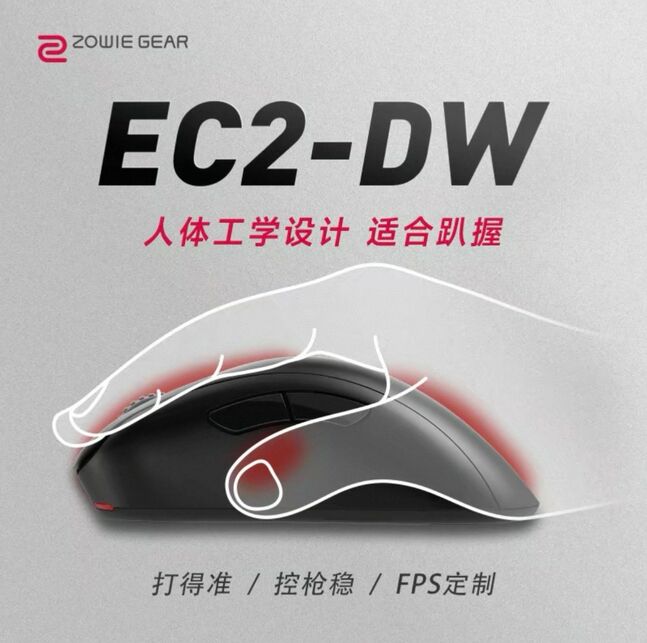 Zowie ec2-dw хулгана
