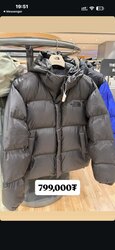 The north face down jacket