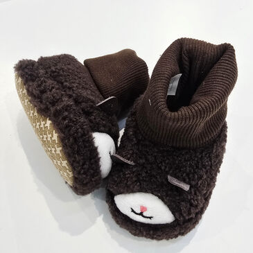 Бойтог-2270 бор баавгай