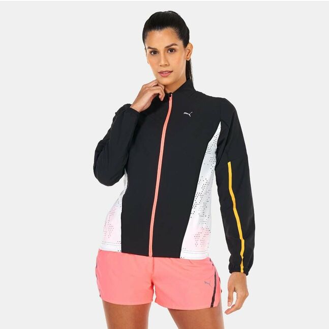 Америкаас ирсэн ориг пума