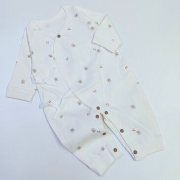 Боди нимгэн уяатай нохой,интоор