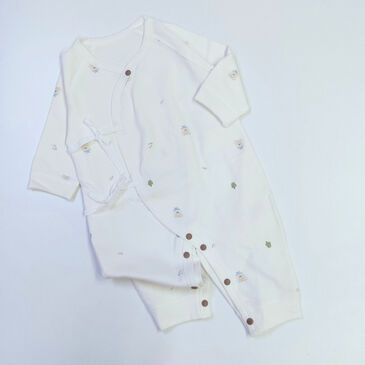 Боди нимгэн уяатай баавгай