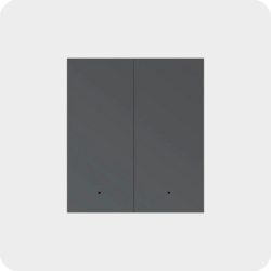 MixSwitch 2 gang, grey color