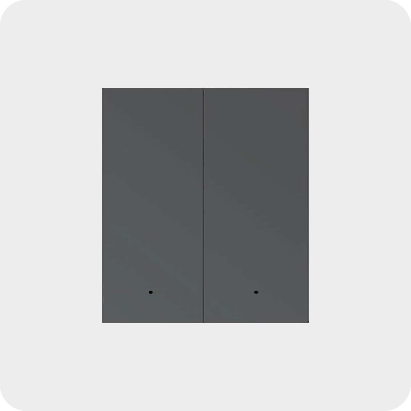 MixSwitch 2 gang, grey color