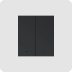 MixSwitch 2 gang, black color