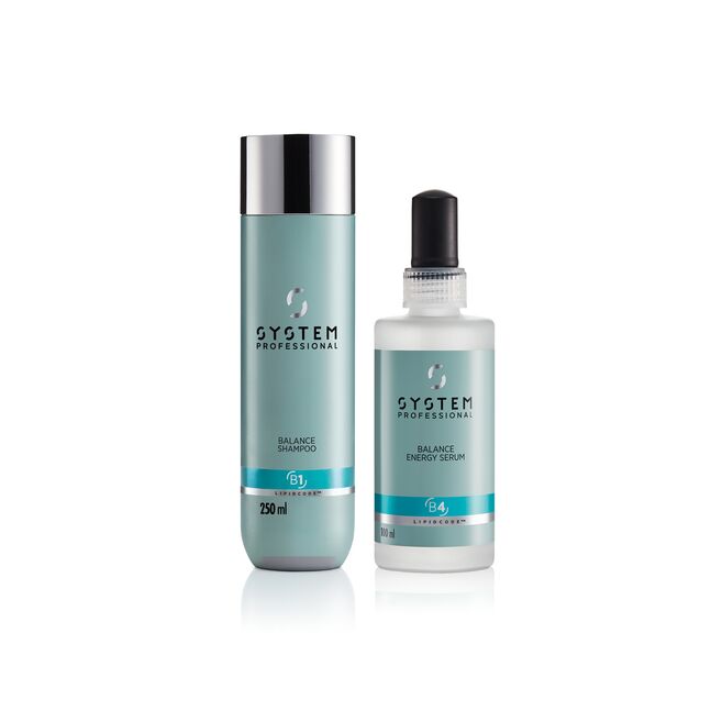 ЭРҮҮЛ ХУЙХ / SYSTEM PROFESSIONAL