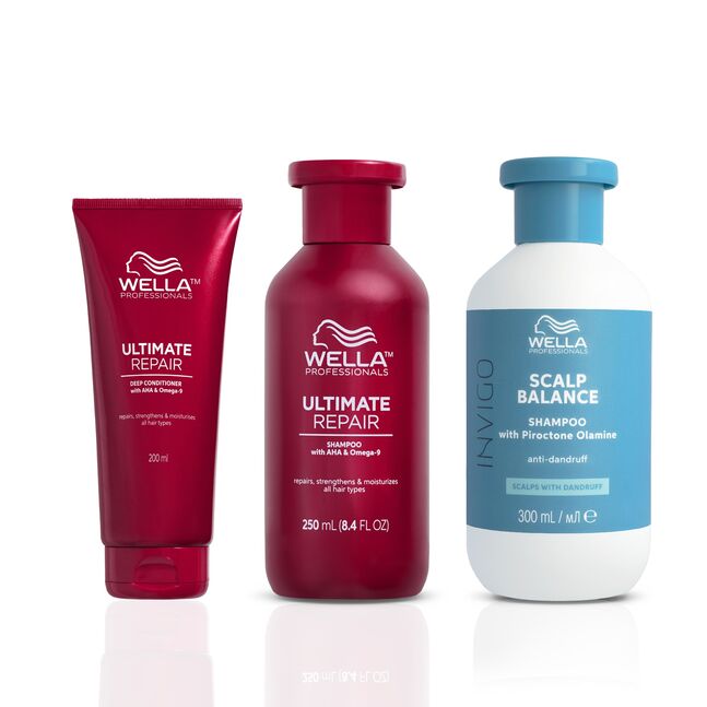 WELLA ХУЙХЫГ ГҮН ЦЭВЭРЛЭЖ НӨХӨН СЭРГЭЭХ БАГЦ