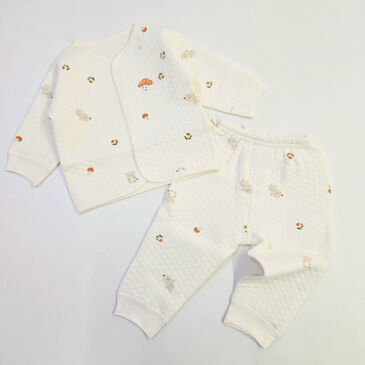  2 хос-yяатай ширмэл зурагтай 