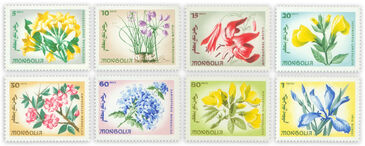 Монголын зарим цэцэг 66